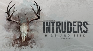 Intruders: Hide and Seek