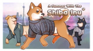 A Summer with the Shiba Inu