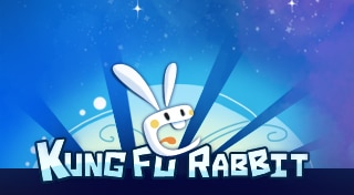 Kung Fu Rabbit