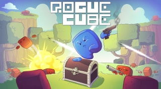 RogueCube