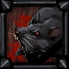 Rat