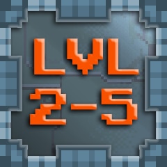 Level 2-5