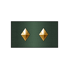 Promotion: Sergeant