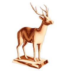 Trophy