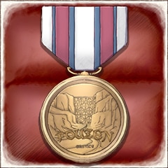 Fouzen Service Medal