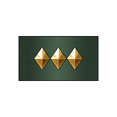 Promotion: Master Sergeant